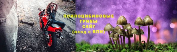 герыч Бородино