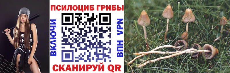 Галлюциногенные грибы Cubensis  цена наркотик  OMG ONION  Балашов 
